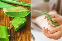10 mẹo vặt sơ cứu vết thương sơ đẳng nhất ngay tại nhà, ai cũng cần nắm rõ
