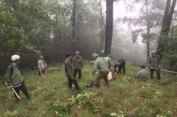 Hà Tĩnh: Nỗ lực để bảo vệ 'lá phổi xanh'