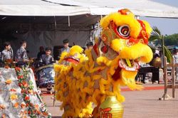 Đại hội thành lập Liên đoàn Lân Sư Rồng Việt Nam: Cú hích giúp 'Lân Sư Rồng' vươn tầm cao mới