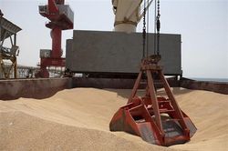 Sáu quốc gia Trung và Đông Âu yêu cầu EU tài trợ mua ngũ cốc Ukraine