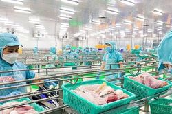 VASEP: Xuất khẩu thủy sản sẽ dần phục hồi vào quý II/2023