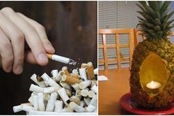 Nhanh tay khử sạch mùi thuốc lá ám trong phòng, thanh lọc không khí ô nhiễm chỉ bằng thứ này
