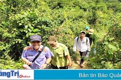 Quan tâm chính sách cho người bảo vệ rừng