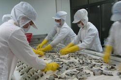 Thực phẩm Sao Ta (FMC): Dồn tổng lực phát triển thị trường Nhật Bản, sẵn sàng tăng tốc khi nhu cầu phục hồi
