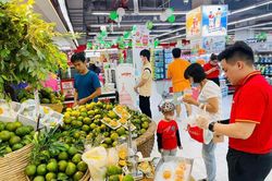 WinMart+ và Bách Hóa Xanh phủ sóng thị trường bán lẻ