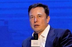 Elon Musk lập startup mới cạnh tranh với ChatGPT