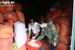 Lúa gạo tiếp đà tăng 100 đồng/kg; Sầu riêng Thái ồ ạt vào Việt Nam