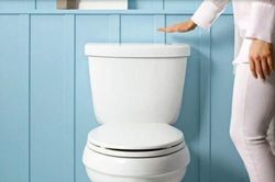 Đi vệ sinh xong nên đóng nắp bồn cầu hay mở? Hóa ra 90% người dân dùng đều sai hết
