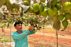 Đồng Nai tìm cách khai thác giá trị từ du lịch