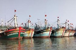 Tập trung tháo gỡ 'điểm nghẽn' IUU