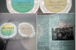 Người sử dụng đăng kiểm giả có thể bị khởi tố