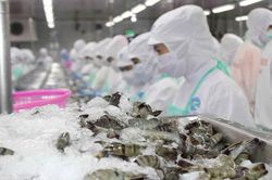 Xuất khẩu thủy sản sang Mỹ dự kiến đến quý 3/2023 mới giảm chậm lại