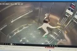 Bé gái mắc kẹt trong thang máy chung cư ở Hà Nội