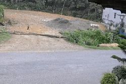 Khoảnh khắc người phụ nữ ngã văng xuống đường vì đâm phải chó thả rông