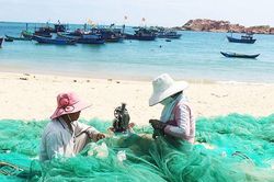 'Ðỏ mắt' tìm bạn thuyền ra khơi