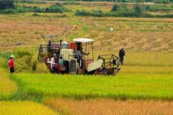 Bản tin thời sự sáng ngày 17/04/2023