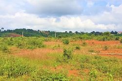Nhiều doanh nghiệp thuê đất rồi… bỏ không
