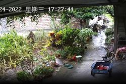 Người trẻ Trung Quốc phó thác vào công nghệ để chăm sóc người già