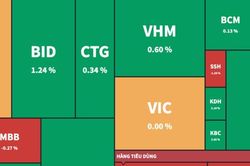 Nhóm nông nghiệp, thủy sản khởi sắc giữ nhịp tăng cho VN-Index