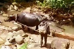 Vụ phá rừng ở TT-Huế: Một người khai xẻ gỗ về làm nhà, 3 người đi hỗ trợ