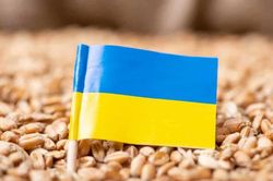EU cảnh báo Ba Lan, Hungary sau khi 2 nước này ra lệnh cấm ngũ cốc Ukraine