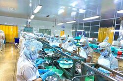 Hà Tĩnh: Ngành chế biến, chế tạo kỳ vọng khởi sắc