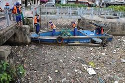 Sau cơn mưa lớn, một đoạn kênh Nhiêu Lộc - Thị Nghè đầy rác, cá chết