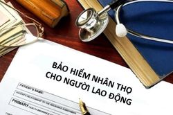 Đề nghị lập đường dây nóng để xử lý phản ánh của khách hàng về bảo hiểm nhân thọ