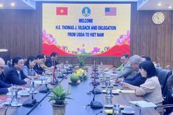 Hoàn thiện thủ tục để sớm xuất khẩu quả dừa và chanh leo sang Hoa Kỳ