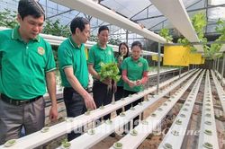 Phong phú những việc làm theo Bác