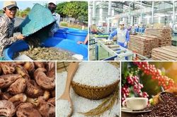 Gỡ khó tiêu thụ nông sản, Thủ tướng yêu cầu thúc đẩy phát triển hợp tác xã