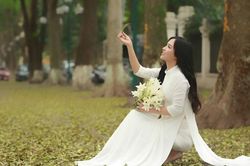 Thiếu nữ khoe sắc bên con đường đẹp nhất Thủ đô mùa cây thay lá
