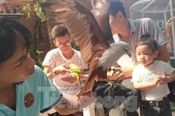 Chàng trai 'thu nhỏ rừng nhiệt đới' vào quán cà phê