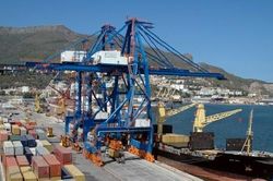 Thêm một doanh nghiệp Việt bị lừa xuất khẩu 5 container điều