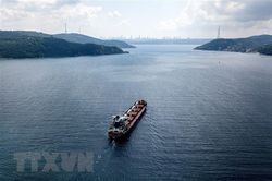 Các bên thúc đẩy thảo luận về Sáng kiến ngũ cốc Biển Đen