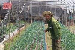 Phát triển sản xuất, nâng cao thu nhập cho người dân