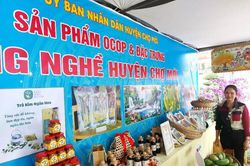 Chợ Mới phát triển kinh tế - xã hội