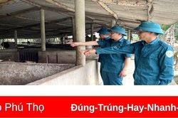 Thôn đội trưởng làm kinh tế giỏi