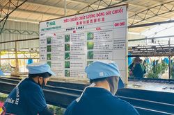 Hoàng Anh Gia Lai không bán thành công lô cổ phiếu riêng lẻ
