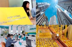 Có tiền, nên mua bảo hiểm hay gửi ngân hàng, đầu tư vàng, chứng khoán?