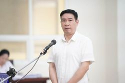 Bác kháng cáo kêu oan của cựu đại tá Phùng Anh Lê