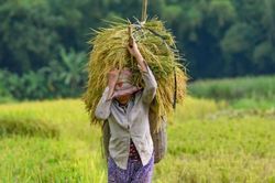 Cần giải pháp đồng bộ, thiết thực để người dân tộc xứ Thanh nâng cao đời sống