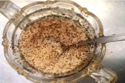 Mùa kiến 'hoành hành', chỉ chị em cách đuổi kiến khỏi lọ đường chỉ trong '1 nốt nhạc'