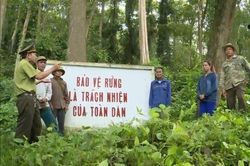 Hỗ trợ khoán bảo vệ rừng bình quân 300.000 đồng/ha/năm