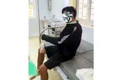 Toàn tỉnh, 5 người tử vong do bệnh dại
