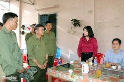 Hơn 34 tỷ đồng hỗ trợ lực lượng chuyên trách bảo vệ rừng