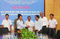 Tăng cường quản lý vi phạm hành lang lưới điện