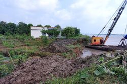 Vĩnh Long khẩn trương gia cố sạt lở tại cồn Thanh Long