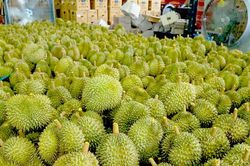 Thái Lan đặt mục tiêu xuất khẩu hơn 4,4 triệu tấn trái cây trong năm 2023