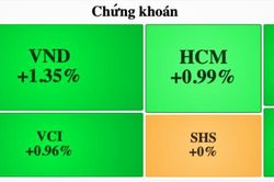 Cổ phiếu chứng khoán 'lội ngược dòng'